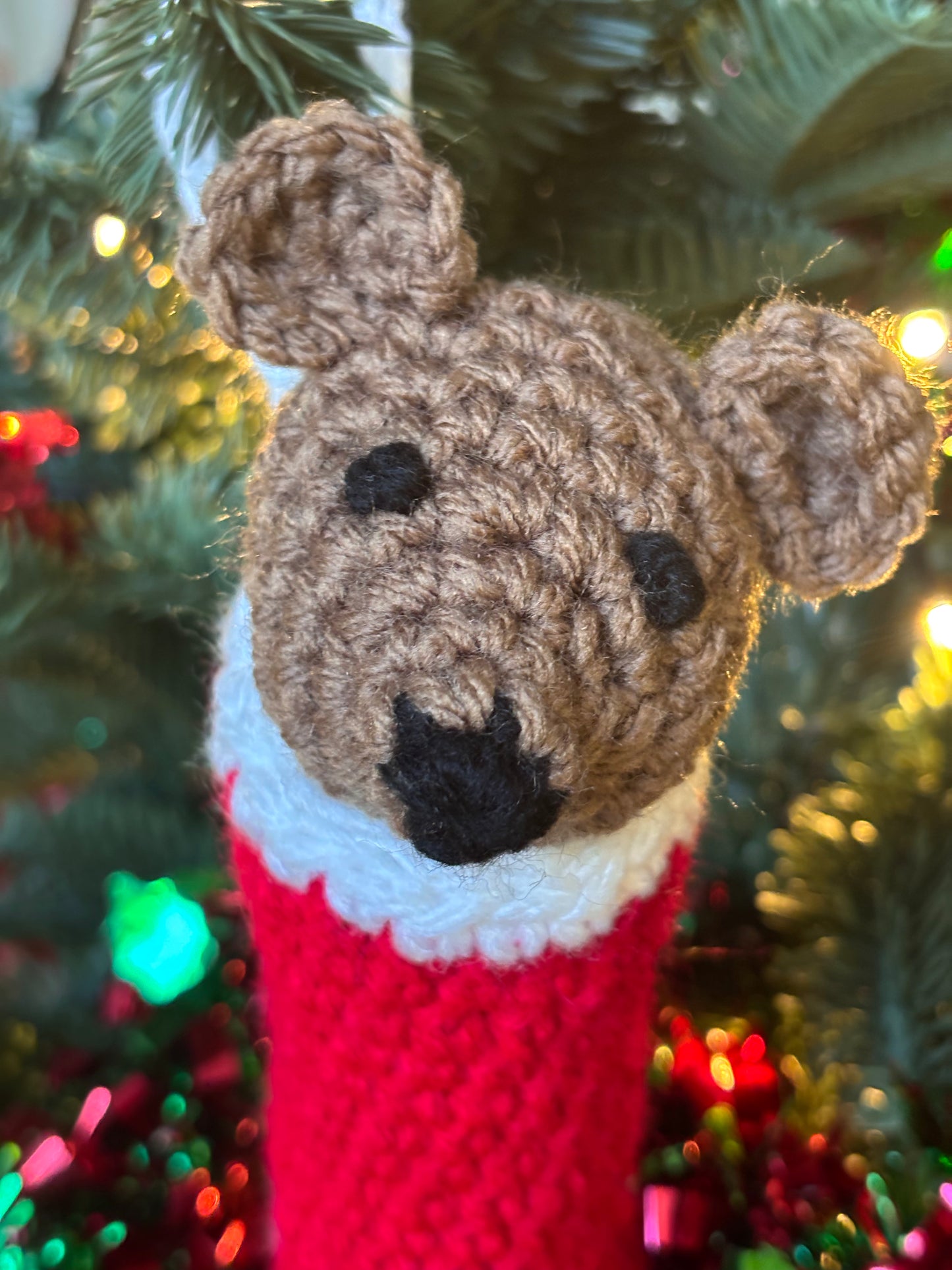 Christmas Bear in a Stocking